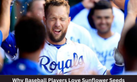 Cracking the Habit: Unveiling Why Baseball Players Love Sunflower Seeds