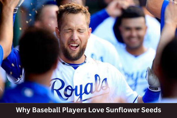 Why-Baseball-Players-Love-Sunflower-Seeds