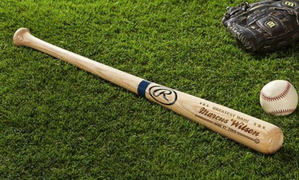 baseball-bat