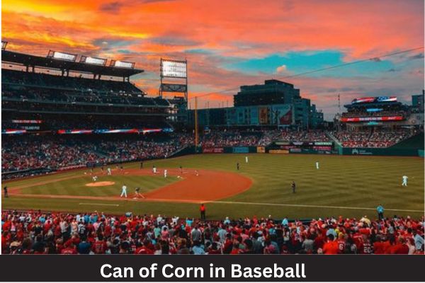 Can-of-Corn-in-Baseball-1