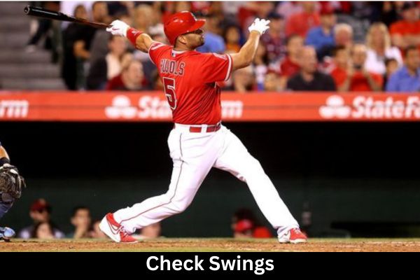 Check-Swings