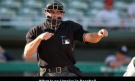 Demystifying the Role of Baseball Umpires