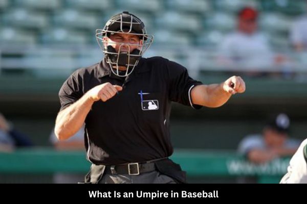 What-Is-an-Umpire-in-Baseball