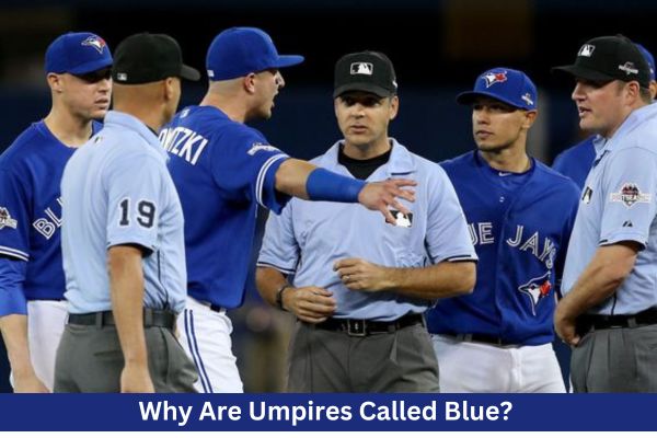 Why-Are-Umpires-Called-Blue