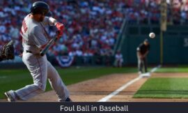 Foul Ball in Baseball: Everything You Need to Know