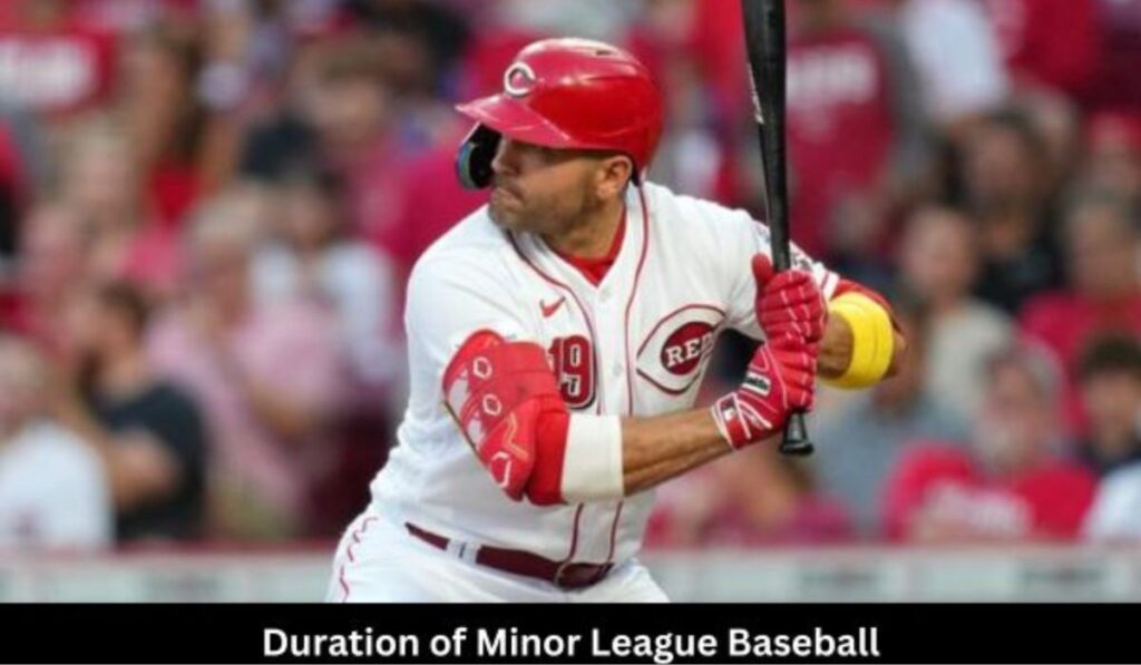Minor-league-baseball-2